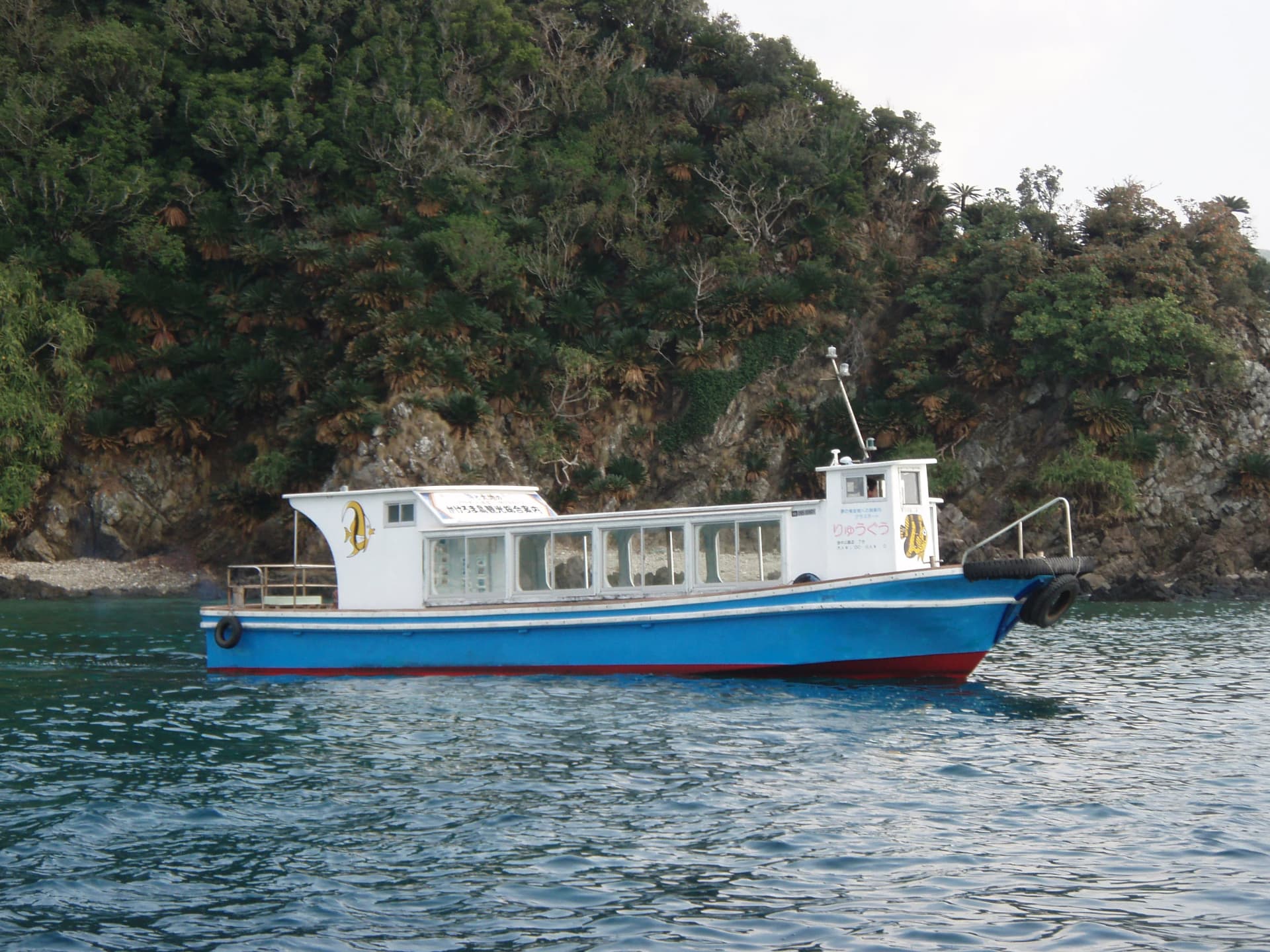 奄美大島のグラスボート体験で珊瑚礁と熱帯魚を観察する観光客の様子