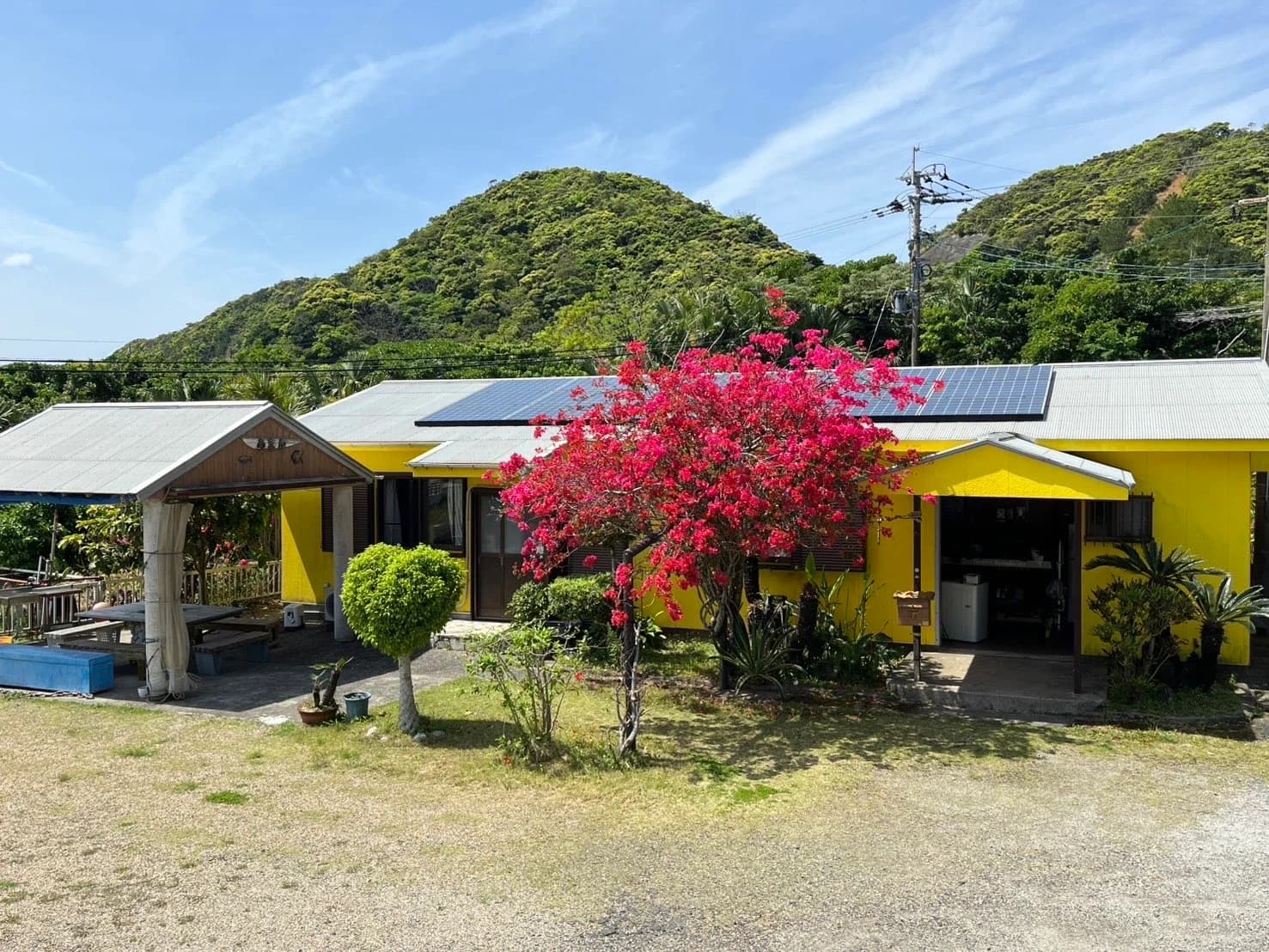 ヤマハタマリンサービスあまん 奄美大島南部ダイビング・奄美大島ダイビングショップ宿泊施設と美しい自然環境