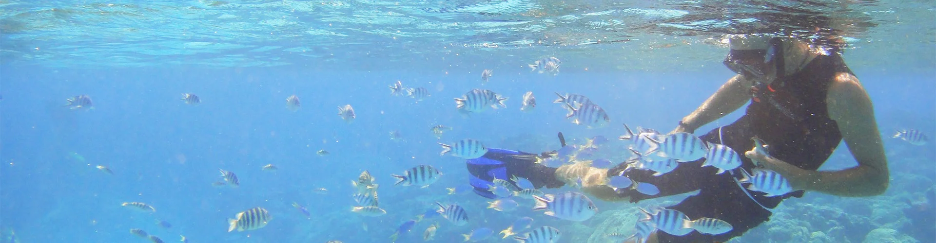 ヤマハタマリンサービスあまん 奄美大島シーカヤックと美しい海のメイン画像