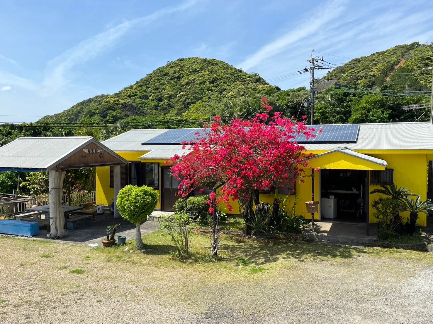 ヤマハタマリンサービスあまん 奄美大島南部ダイビング・奄美大島ダイビングショップ宿泊施設と美しい自然環境